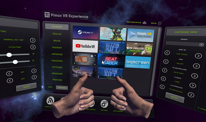 PimaxVRExperience