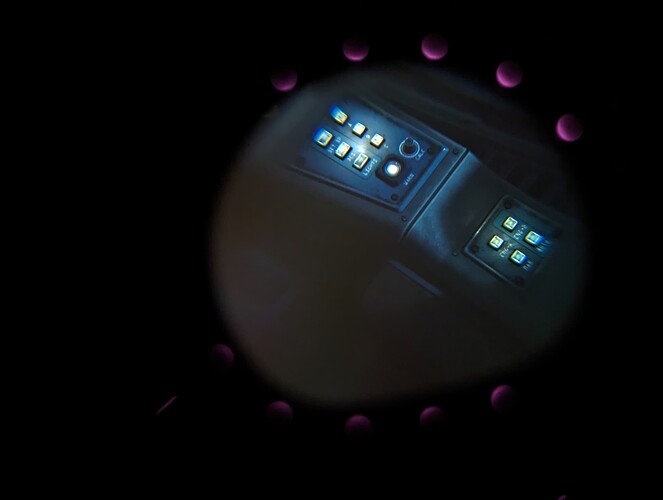 PXL_20230930_063729428