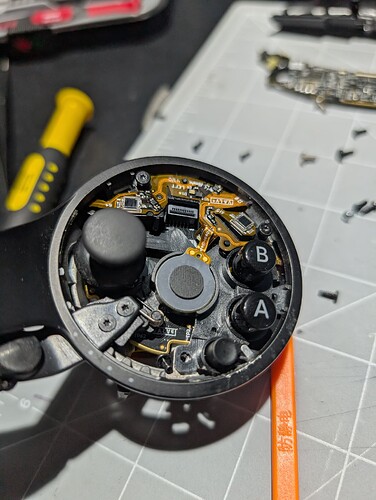 PXL_20250625_045644553